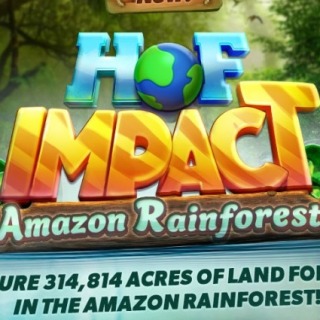 Playtika will secure over 314 thousand acres of land in the Amazon