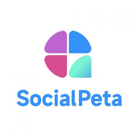 SocialPeta's evolution: advancing mobile game advertising with AI, Apple Search Ads, and STEAM game insights